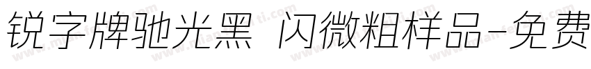 锐字牌驰光黑 闪微粗样品字体转换